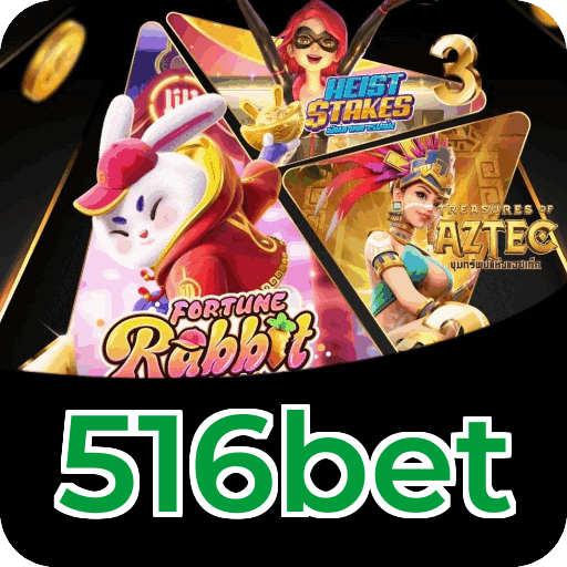 Suporte 516bet